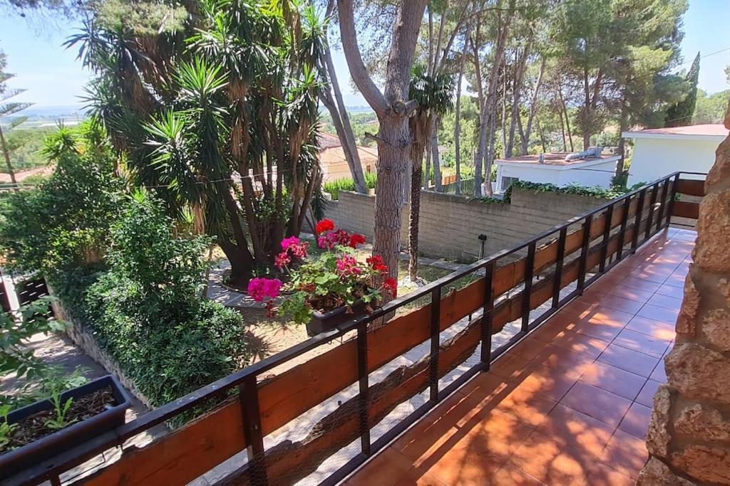 Chalet Rustico Con Piscina Y Barbacoa, Valencia Torrent  Ngoại thất bức ảnh